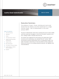 executive summary - IronPortStore.com