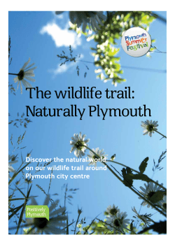 City Centre Wildlife Trail