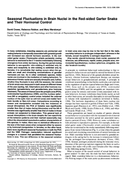Seasonal Fluctuations in Brain Nuclei in the Red