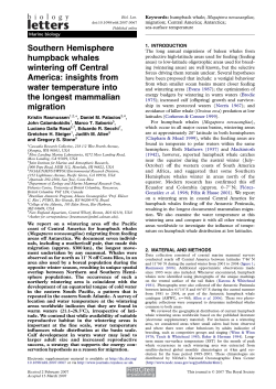 Southern Hemisphere humpback whales wintering off Central America