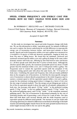 speed, stride frequency and energy cost per stride: how do they