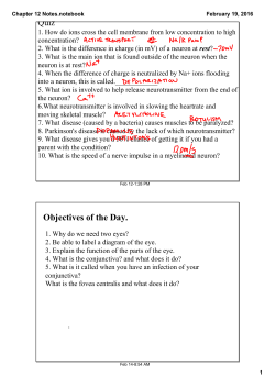Chapter 12 Notes.notebook