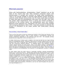 Phytoplankton - North Pacific Marine Science Organization