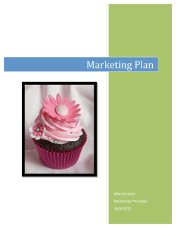 Marketing Plan