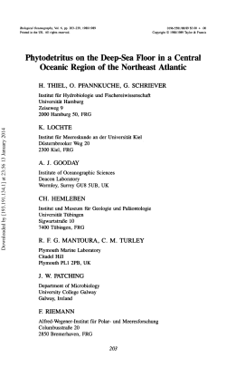 Phytodetritus on the Deep-Sea Floor in a Central Oceanic Region of