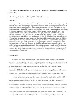 The effect of water deficit on the growth rate of cer10