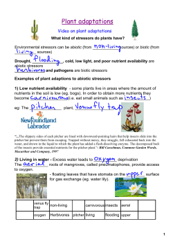 Plant adaptations