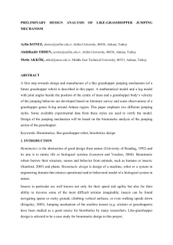 PRELIMINARY DESIGN ANALYSIS OF LIKE