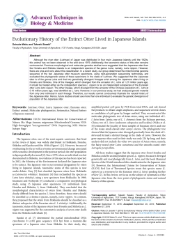 Evolutionary History of the Extinct Otter Lived in Japanese Islands