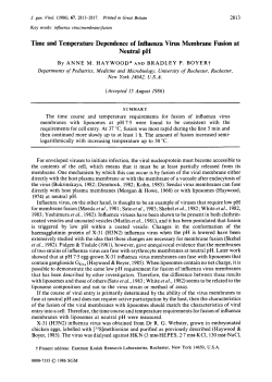 Time and Temperature Dependence of Influenza Virus Membrane