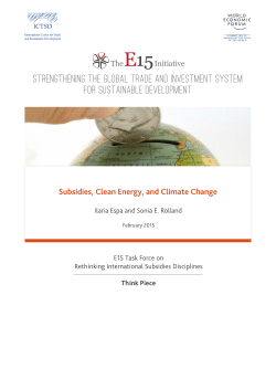 Subsidies, Clean Energy, and Climate Change