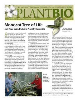 monocot Tree of life - Plant Biology