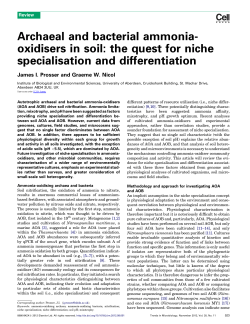 Archaeal and bacterial ammonia-oxidisers in soil