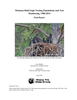 MT Bald Eagle Populations report 1980-2014