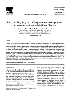 Factors limiting the growth of indigenous tree seedlings planted on