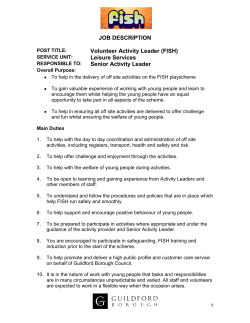JOB DESCRIPTION Volunteer Activity Leader