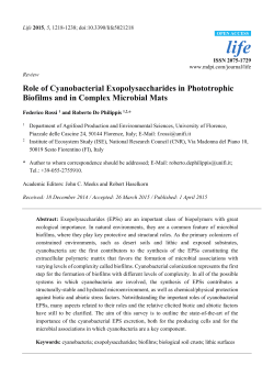 Role of Cyanobacterial Exopolysaccharides in Phototrophic Biofilms