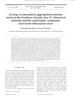 Ecology of amorphous aggregations (marine snow