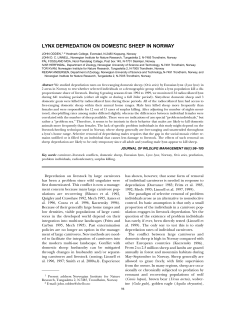 lynx depredation on domestic sheep in norway