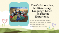 The Collaborative, Multi-sensory, Language