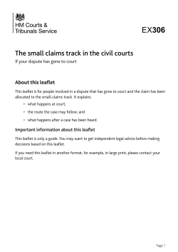 EX306 - The small claims track in the civil courts