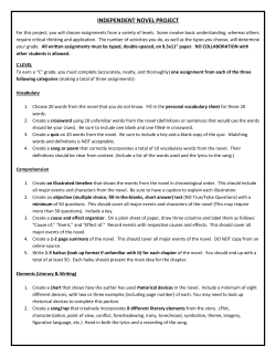 independent novel project