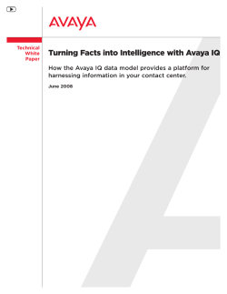 How the Avaya IQ data model provides a platform