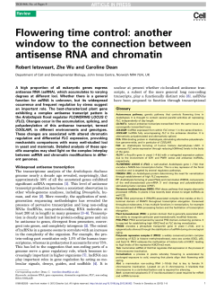 Flowering time control: another window to the connection between