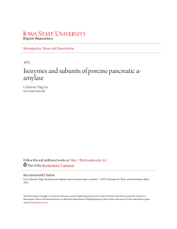 Isozymes and subunits of porcine pancreatic α- amylase