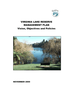 Virginia Lake Reserve Management Plan