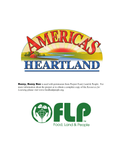 Buzzy, Buzzy Bee - America`s Heartland