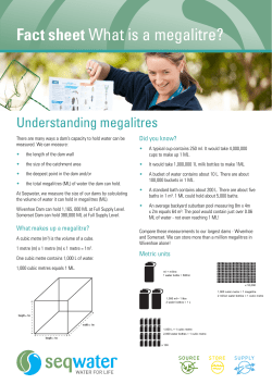 What is a megalitre?