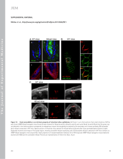 Supplemental material