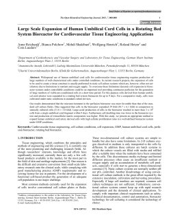 Anne Reichardt, Bianca Polchow, Mehdi Shakibaei