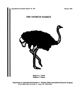 the ostrich market