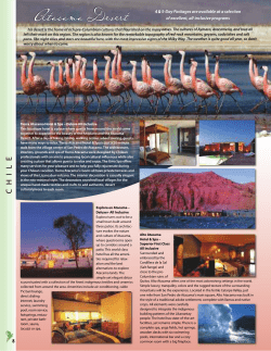 Atacama Desert - EcoAdventures