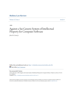 Against a Sui Generis System of Intellectual Property for Computer