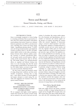 Stress and Reward-Neural Networks, Eating and Obesity