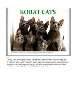 Hi! I am here to talk about breeding of Korats &ndash; the old