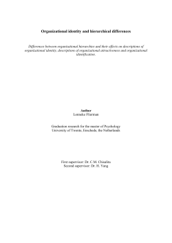 Organizational identity and hierarchical differences