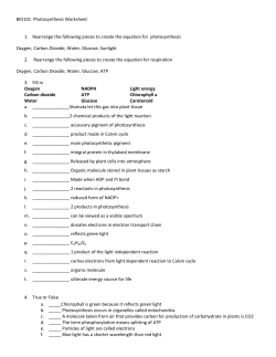 BIO101 Photosynthesis Worksheet 1. Rearrange the following