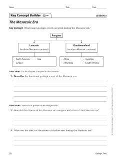The Mesozoic Era