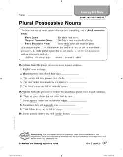 Amazing Bird Nests Plural Possessive Nouns