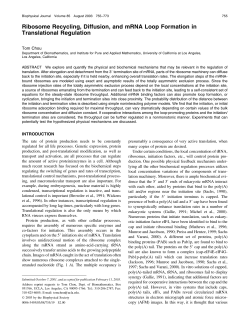 Ribosome Recycling, Diffusion, and mRNA Loop Formation in