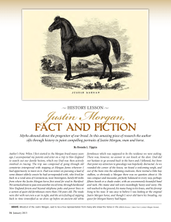 Justin Morgan - American Morgan Horse Association