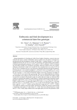 Embryonic and fetal development in a commercial dam