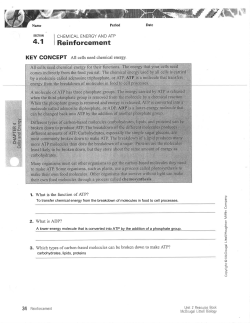 Chapter 4 Review KEY