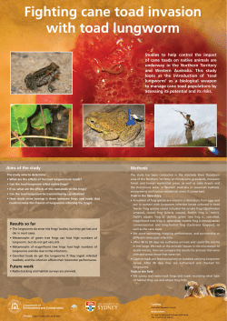 Cane toads and lungworm87 KB