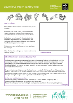 Heathland crayon rubbing trail