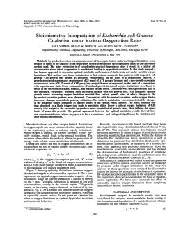Stoichiometric Interpretation of Escherichia coli Glucose